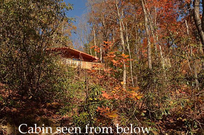 #820 Honeymoon Hideaway Villa Гетлинбург Екстериор снимка
